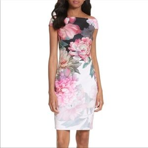 Ted Baker Painted Poise Ofd the Shoulder Dress